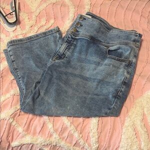 Lane Bryant High-Rise Button-Front Jeans in Light Blue Wash